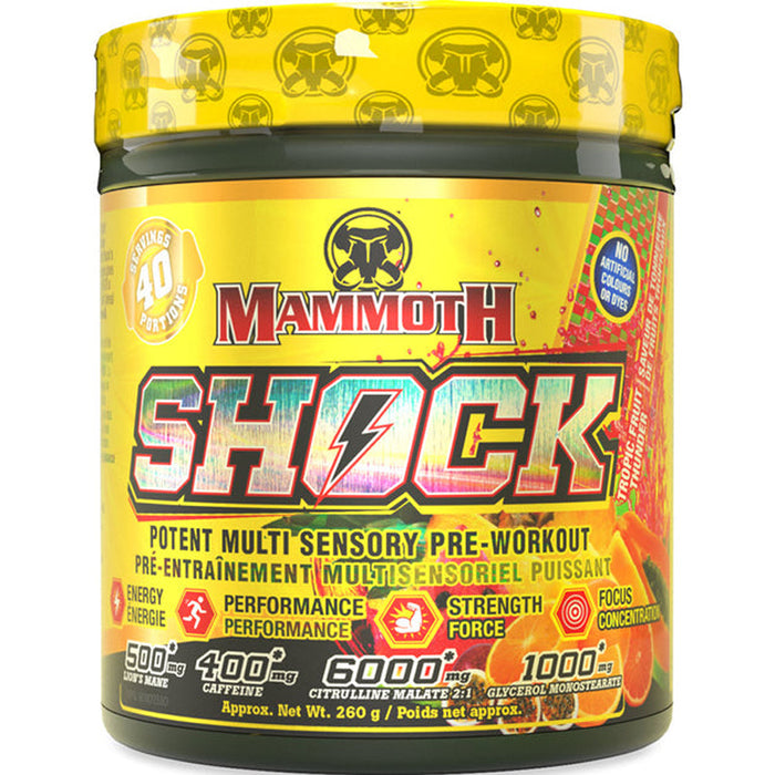 Mammoth Shock 40 Sv
